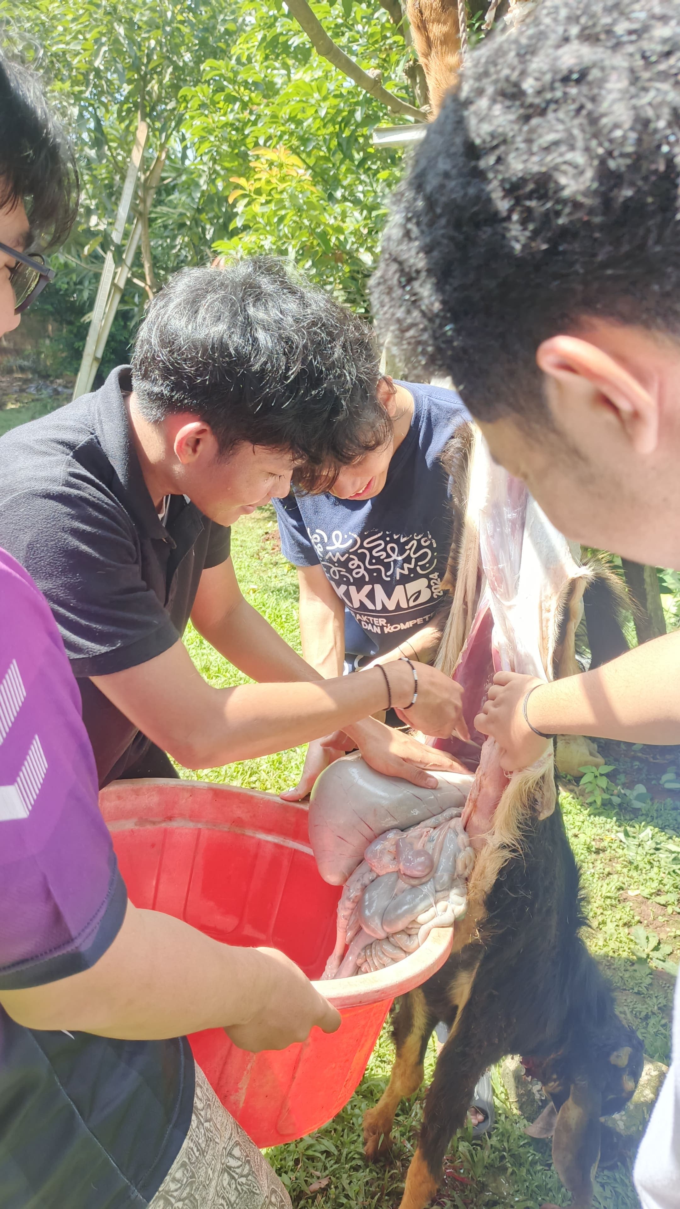 Dokumentasi IDUL ADHA 2026 10